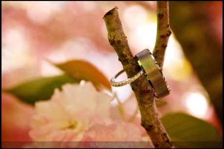 shot of rings in the blooming tree